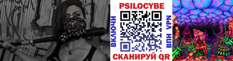 кракен как зайти  Гвардейск  Псилоцибиновые грибы GOLDEN TEACHER 