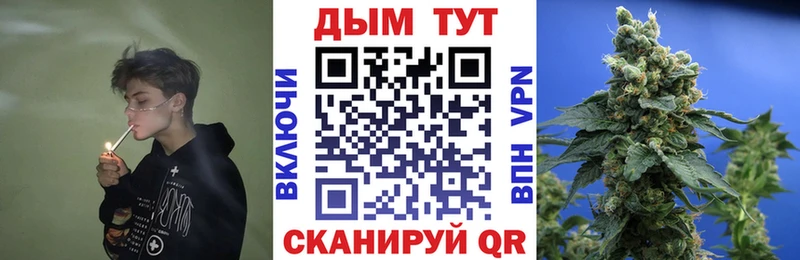 кракен ССЫЛКА  купить закладку  Гвардейск  Конопля план 